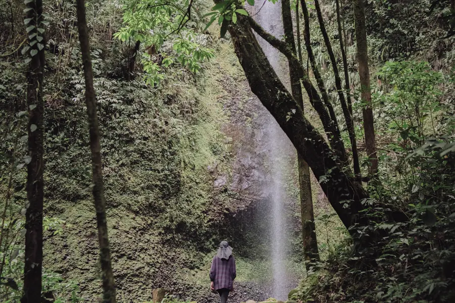 A guest on the stone path below a tall waterfall in the cloud forest